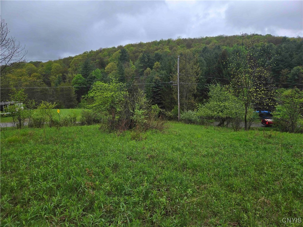 Mead Hollow Road, Bolivar, New York image 6
