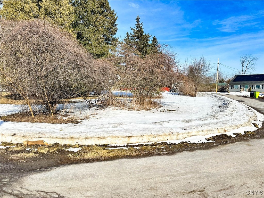 00 Ealy Avenue, New Hartford, New York image 2