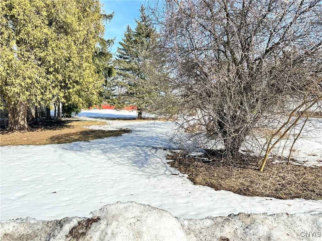 00 Ealy Avenue, New Hartford, New York image 3