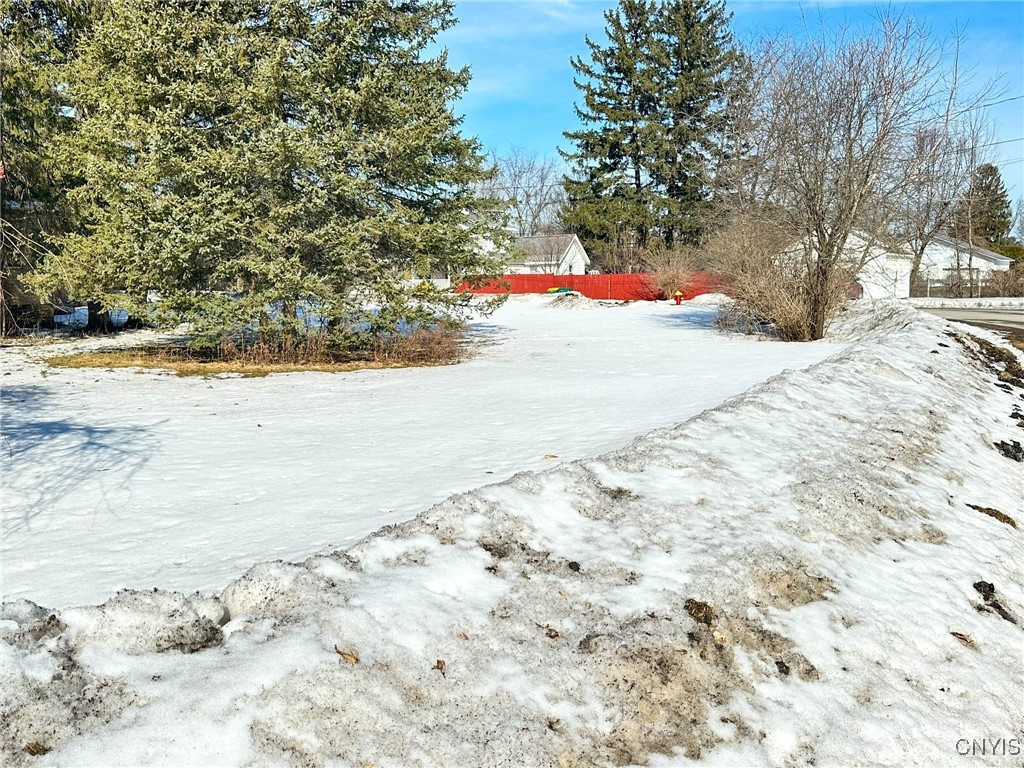 00 Ealy Avenue, New Hartford, New York image 5