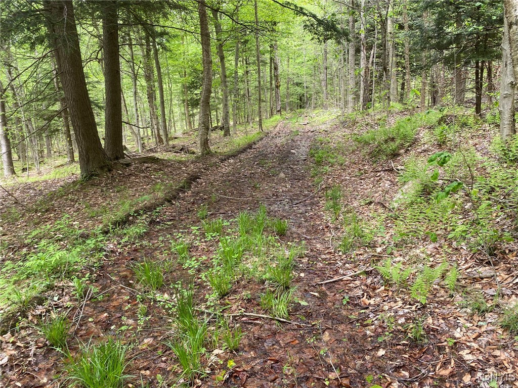 White Road, Parish, New York image 29
