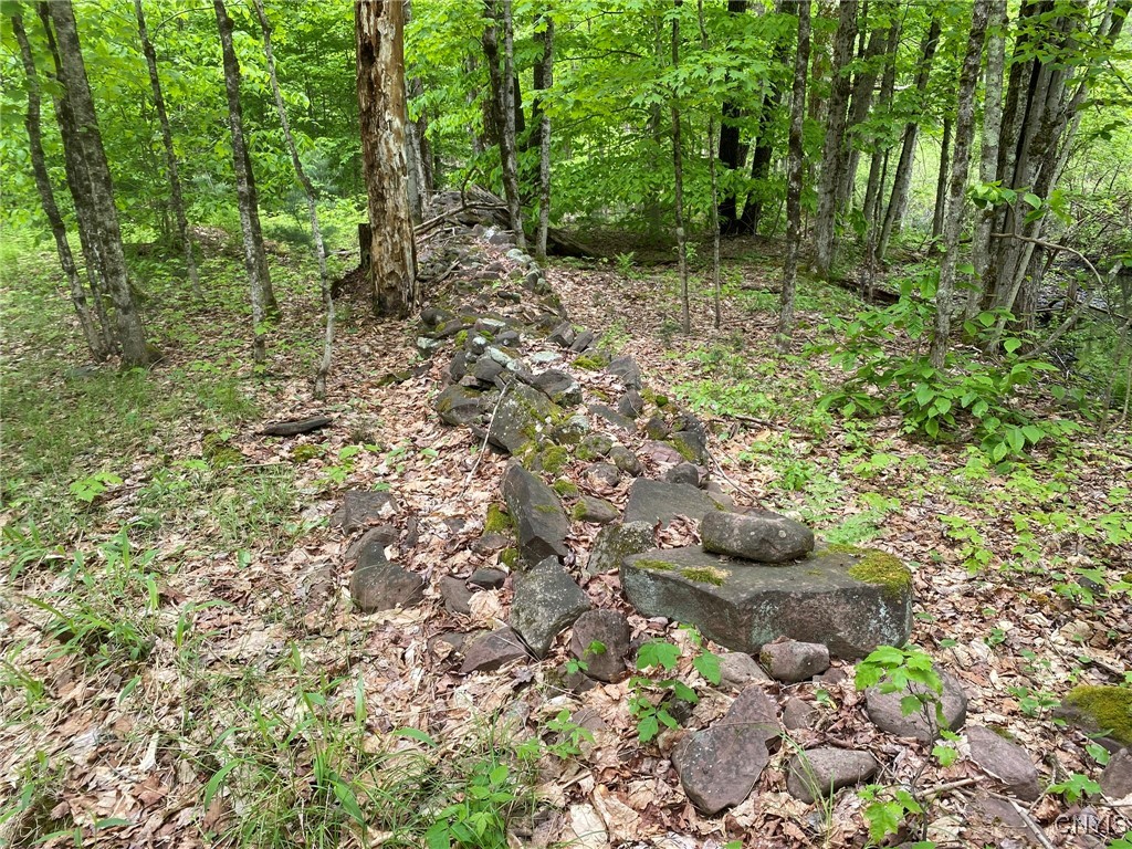White Road, Parish, New York image 35