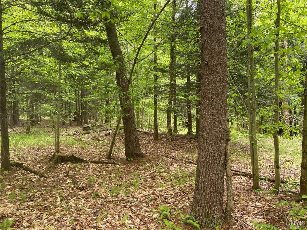 White Road, Parish, New York image 32