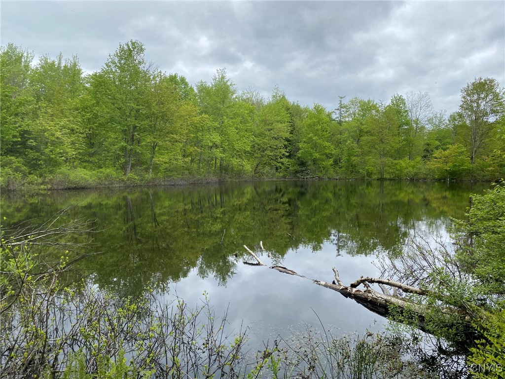 White Road, Parish, New York image 12