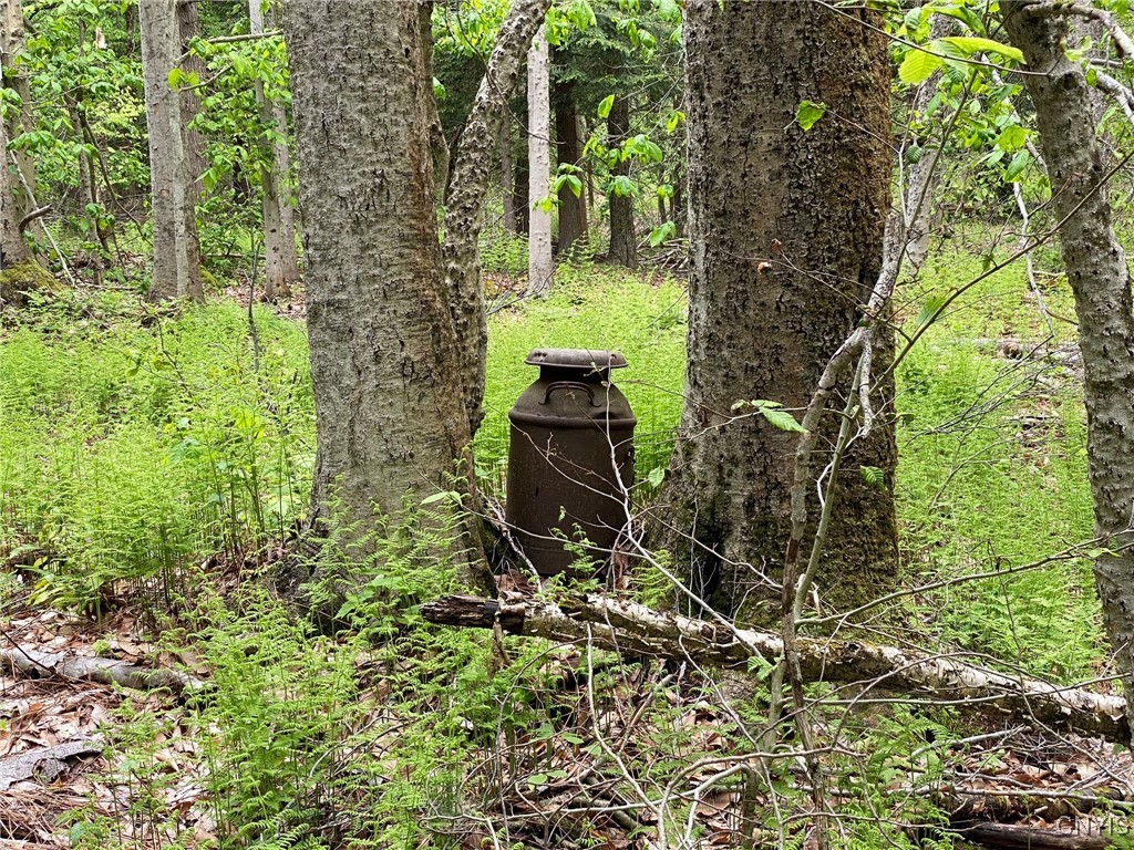 White Road, Parish, New York image 28