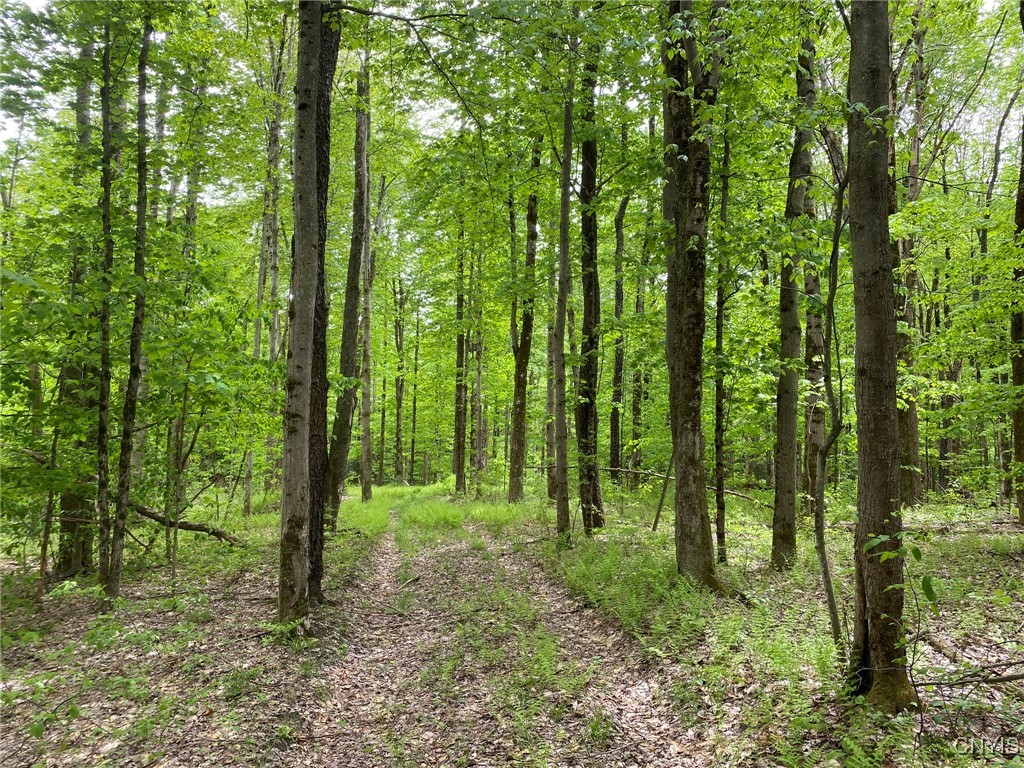 White Road, Parish, New York image 42