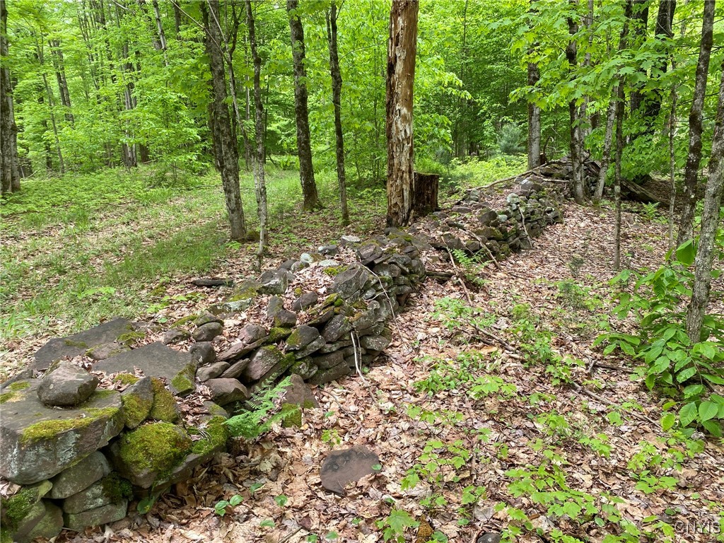 White Road, Parish, New York image 37