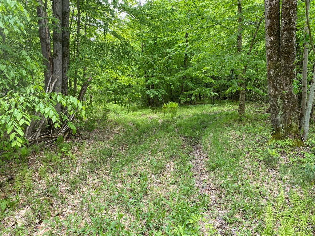 White Road, Parish, New York image 36