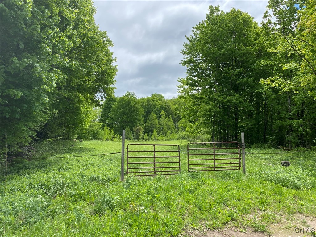 White Road, Parish, New York image 2