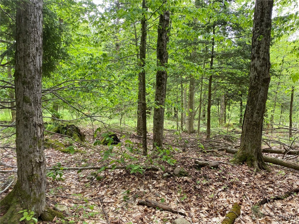 White Road, Parish, New York image 30