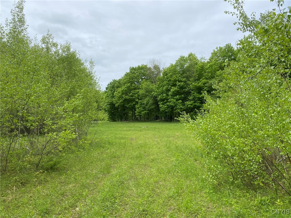 White Road, Parish, New York image 44