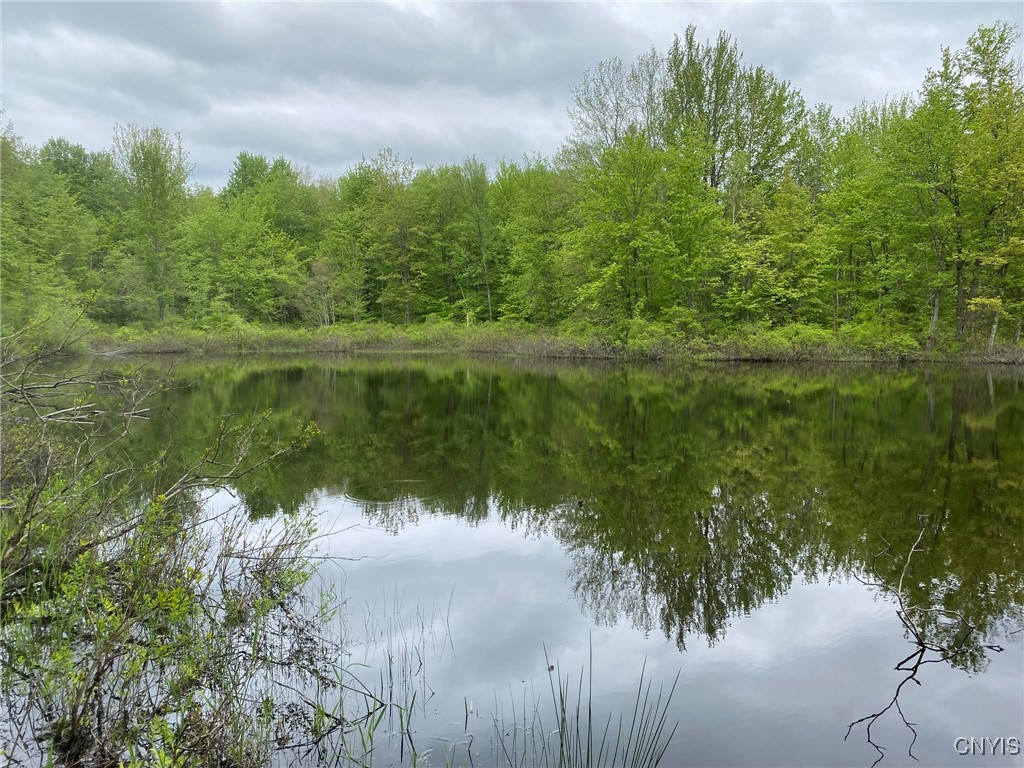 White Road, Parish, New York image 27