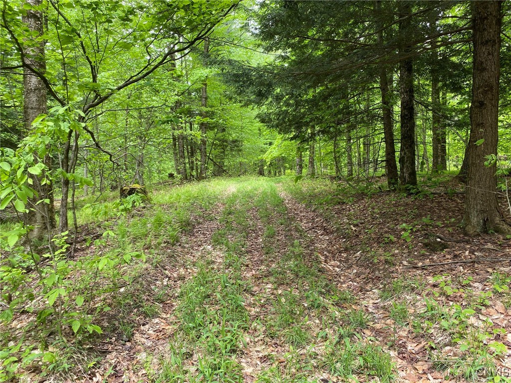 White Road, Parish, New York image 31