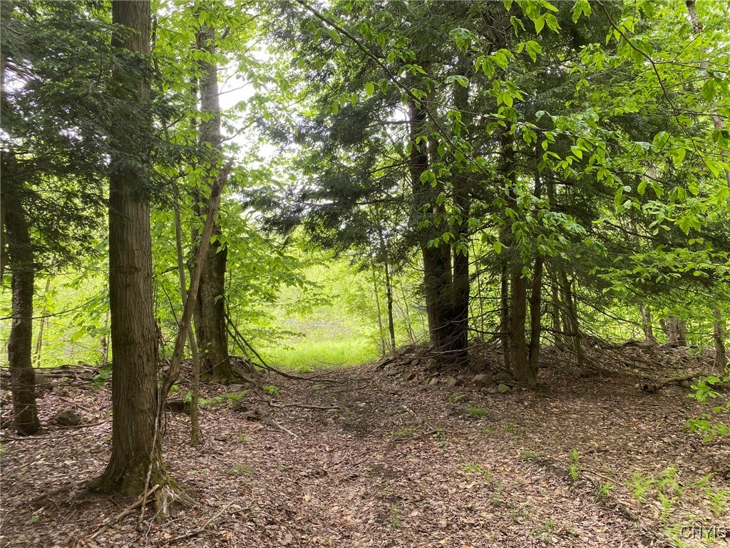 White Road, Parish, New York image 43