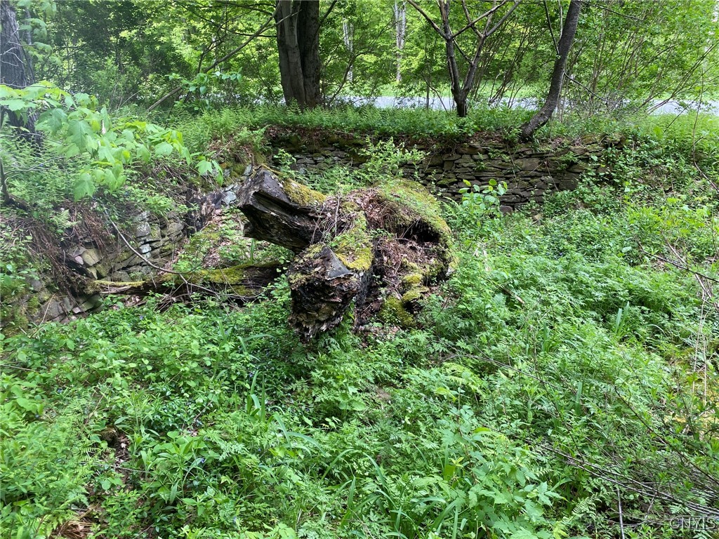 White Road, Parish, New York image 5