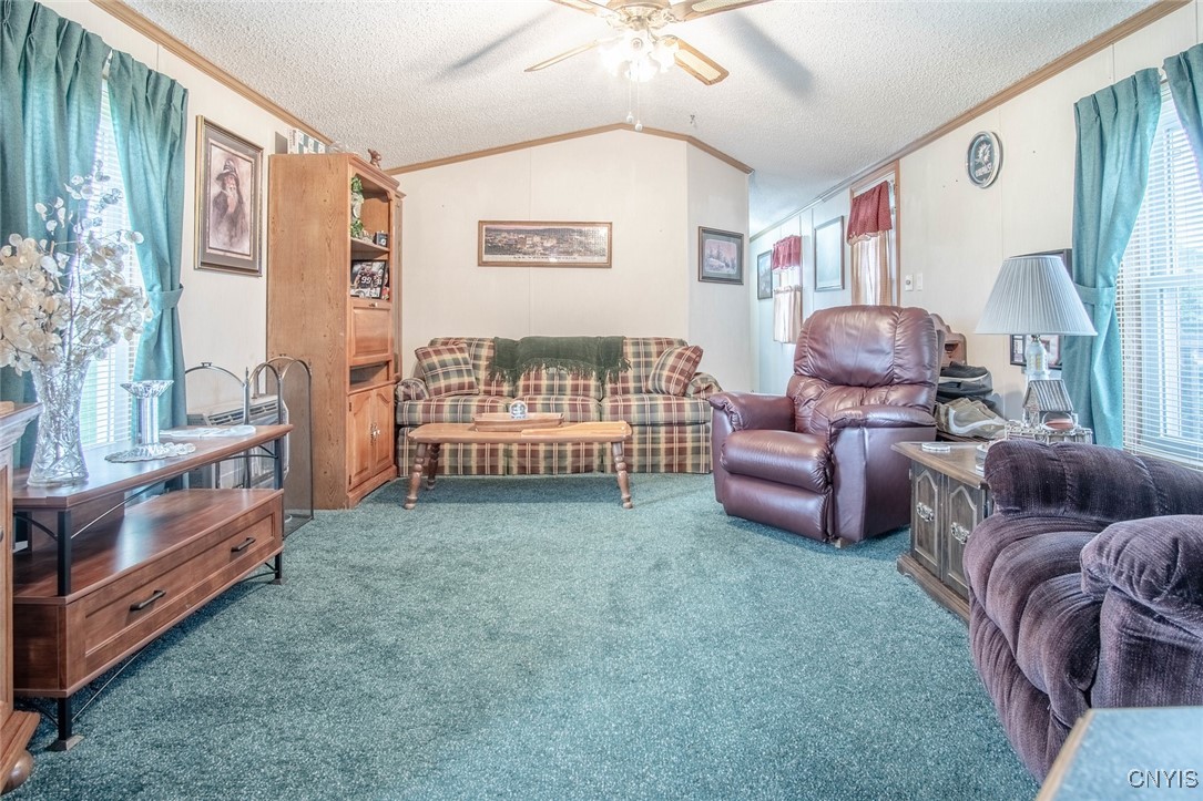 31819 Miller Road, Clayton, New York image 14