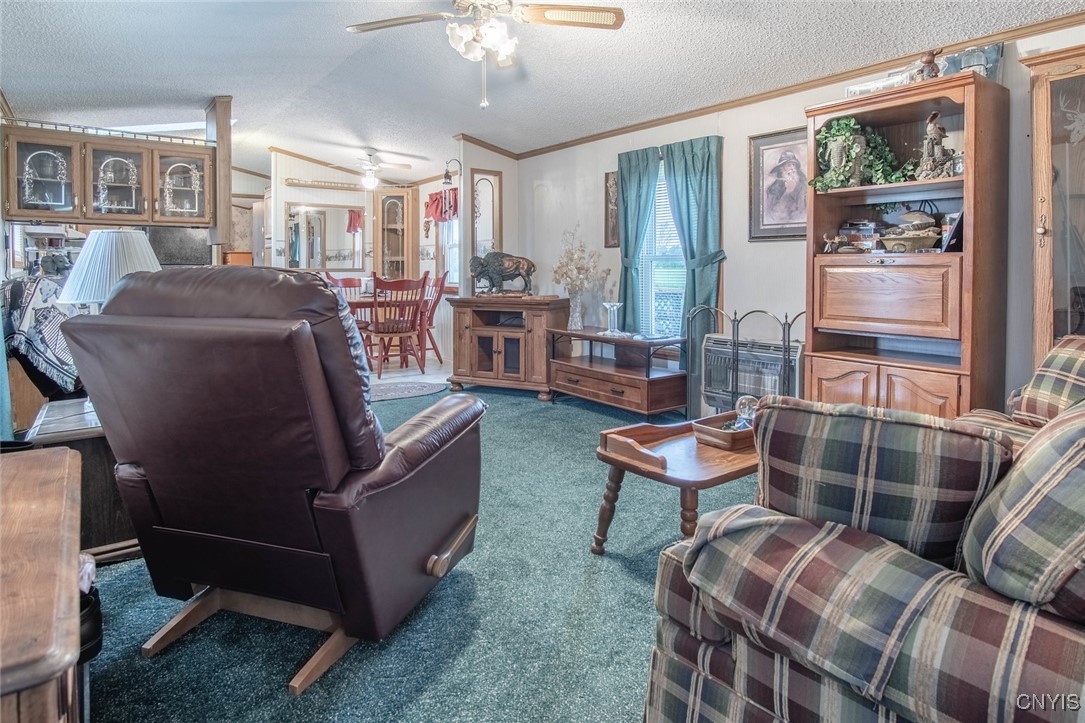 31819 Miller Road, Clayton, New York image 16