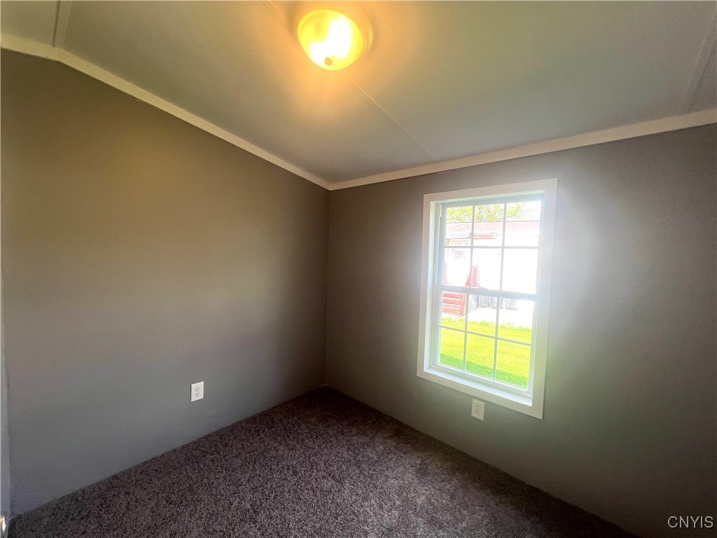 28 Bell Lane Ln, Dryden, New York image 21