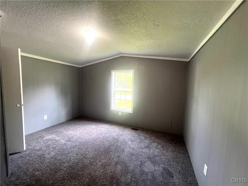 28 Bell Lane Ln, Dryden, New York image 20