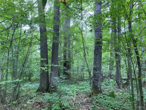 Vacant Land For Sale - Spile Bridge Road<br/> Saint Lawrence County, De Peyster, NY 13654