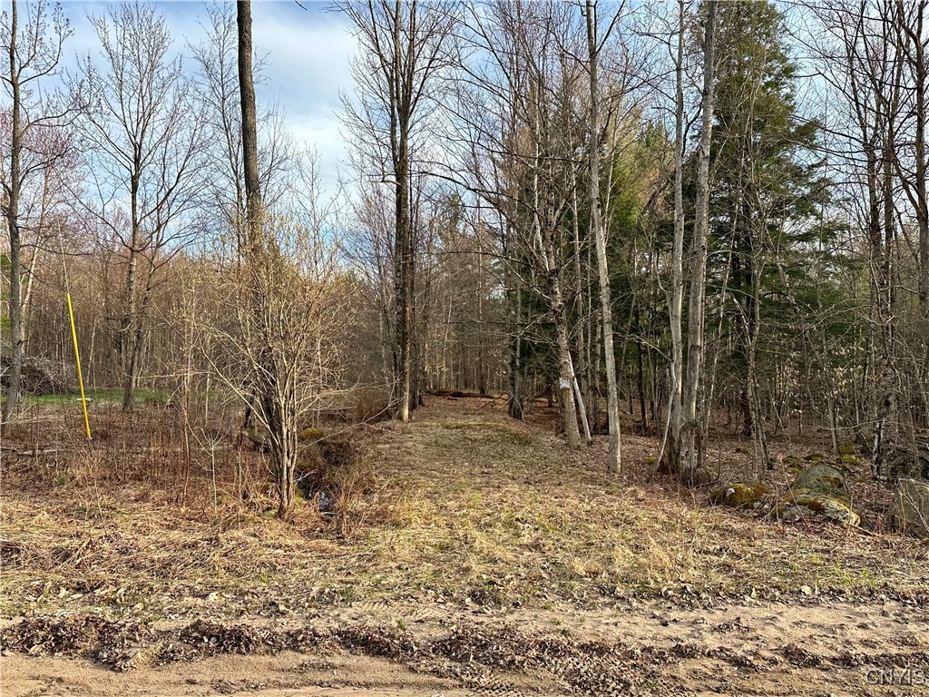 Nortonville Road, Greig, New York image 5