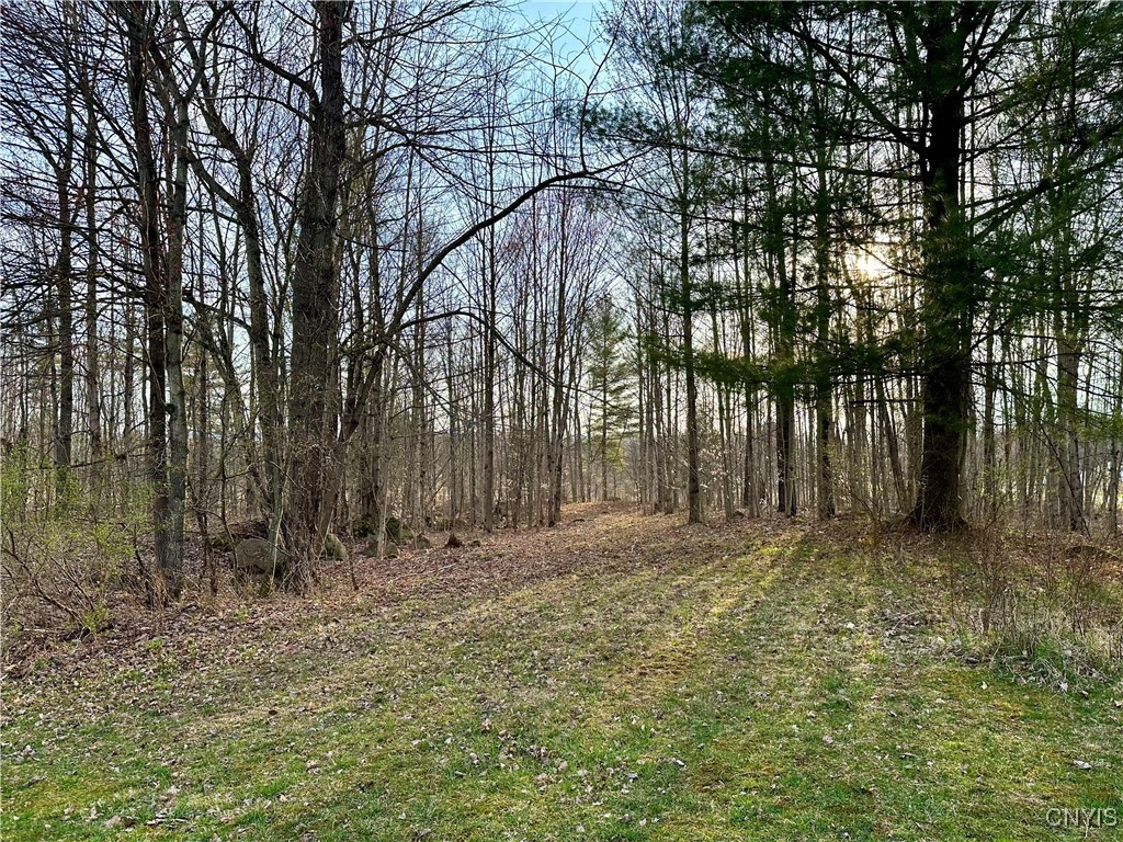 Nortonville Road, Greig, New York image 13