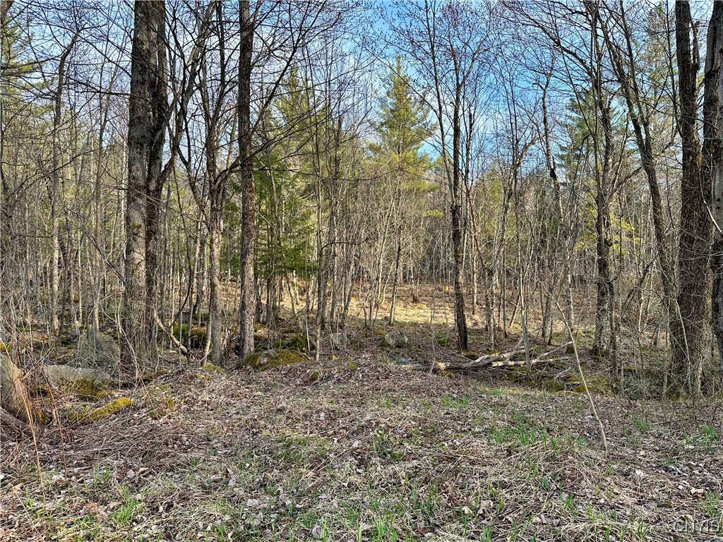 Nortonville Road, Greig, New York image 12