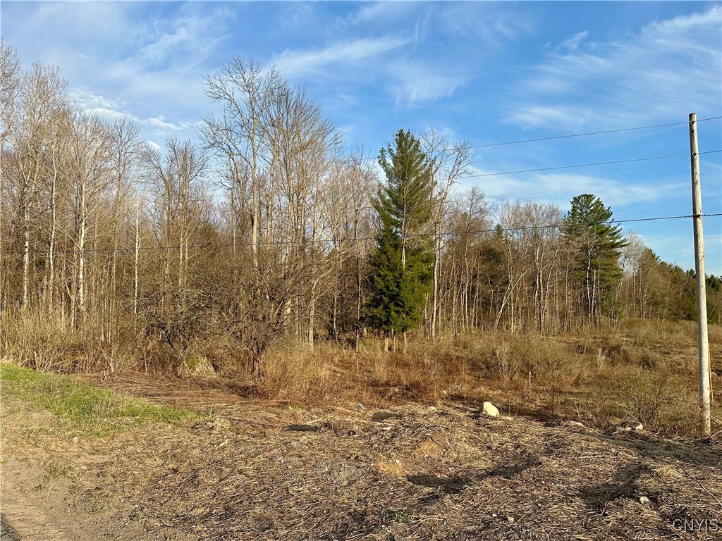 Nortonville Road, Greig, New York image 16