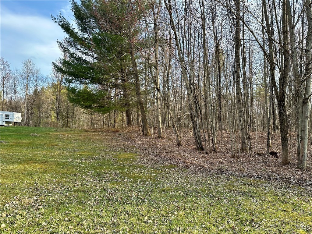 Nortonville Road, Greig, New York image 10