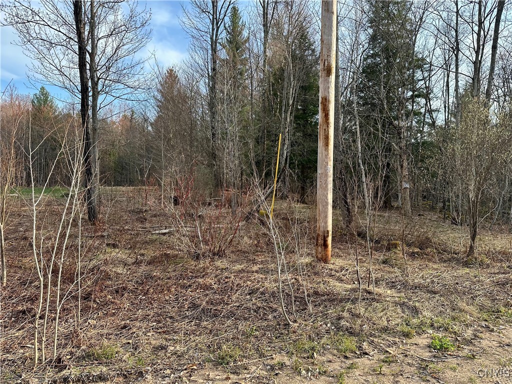 Nortonville Road, Greig, New York image 4