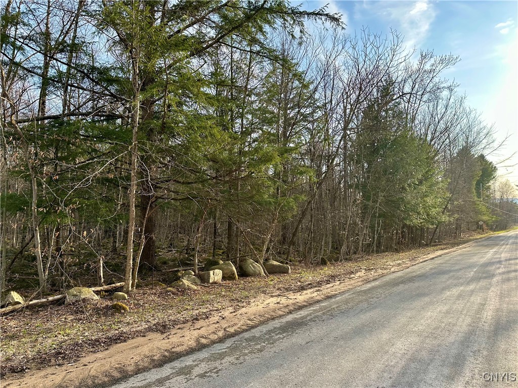 Nortonville Road, Greig, New York image 3