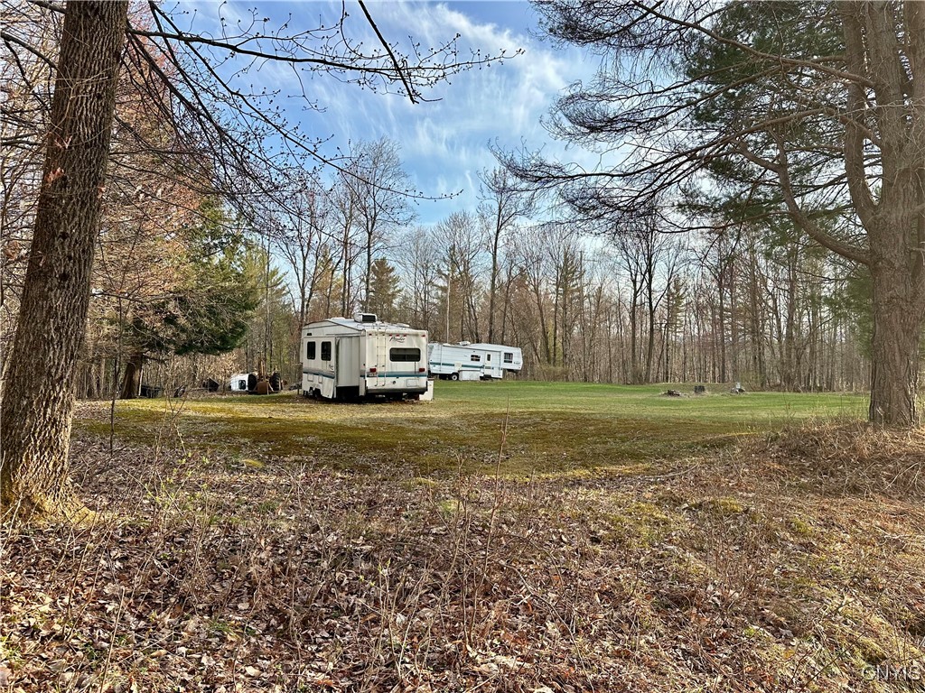 Nortonville Road, Greig, New York image 7