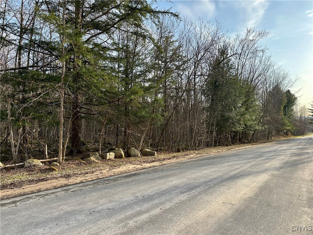 Nortonville Road, Greig, New York image 2