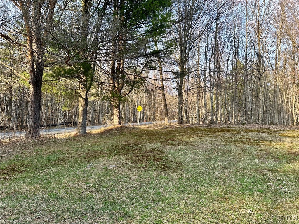 Nortonville Road, Greig, New York image 11