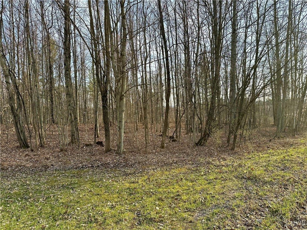 Nortonville Road, Greig, New York image 9