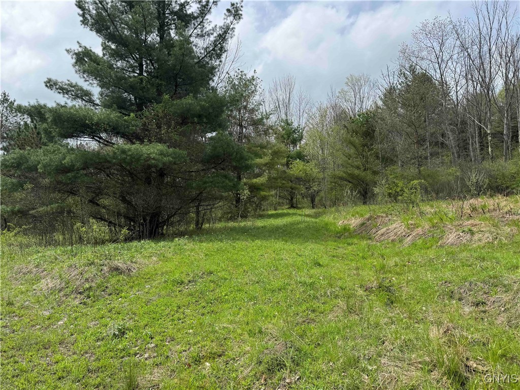 5024 Sleepy Hollow Road, Friendship, New York image 29