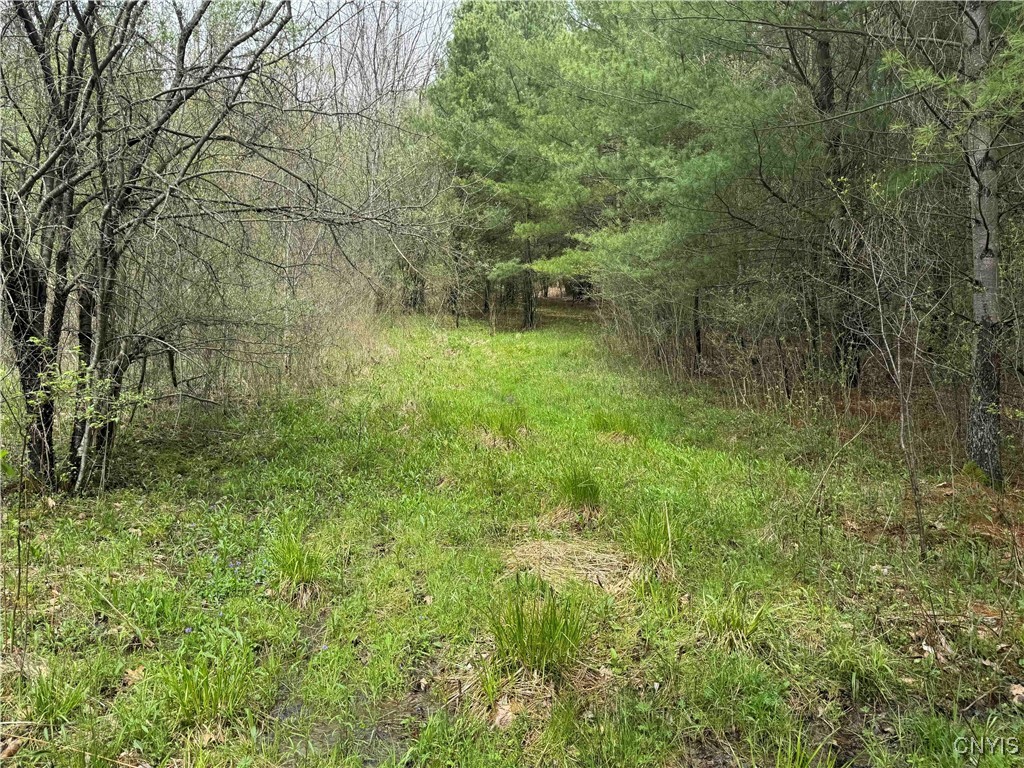 5024 Sleepy Hollow Road, Friendship, New York image 11