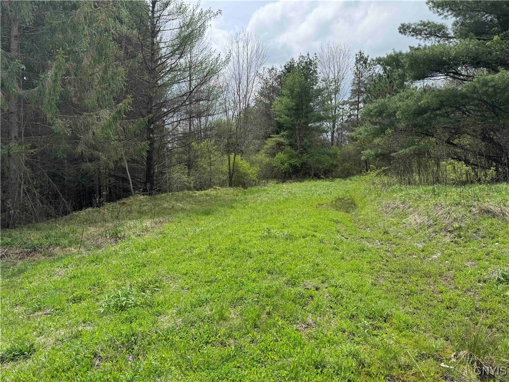 5024 Sleepy Hollow Road, Friendship, New York image 30