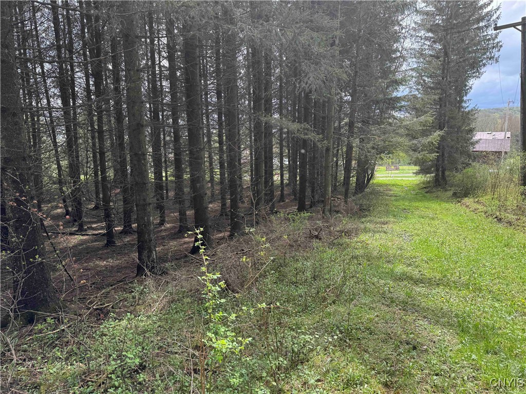 5024 Sleepy Hollow Road, Friendship, New York image 6
