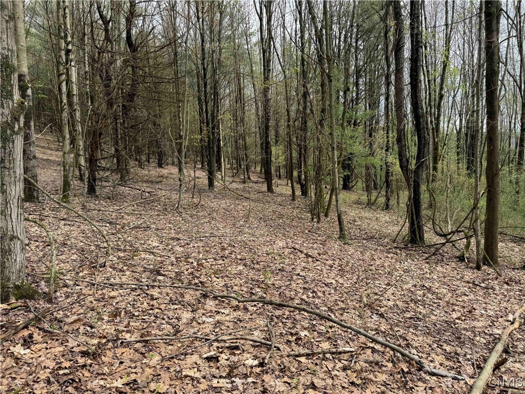 5024 Sleepy Hollow Road, Friendship, New York image 26