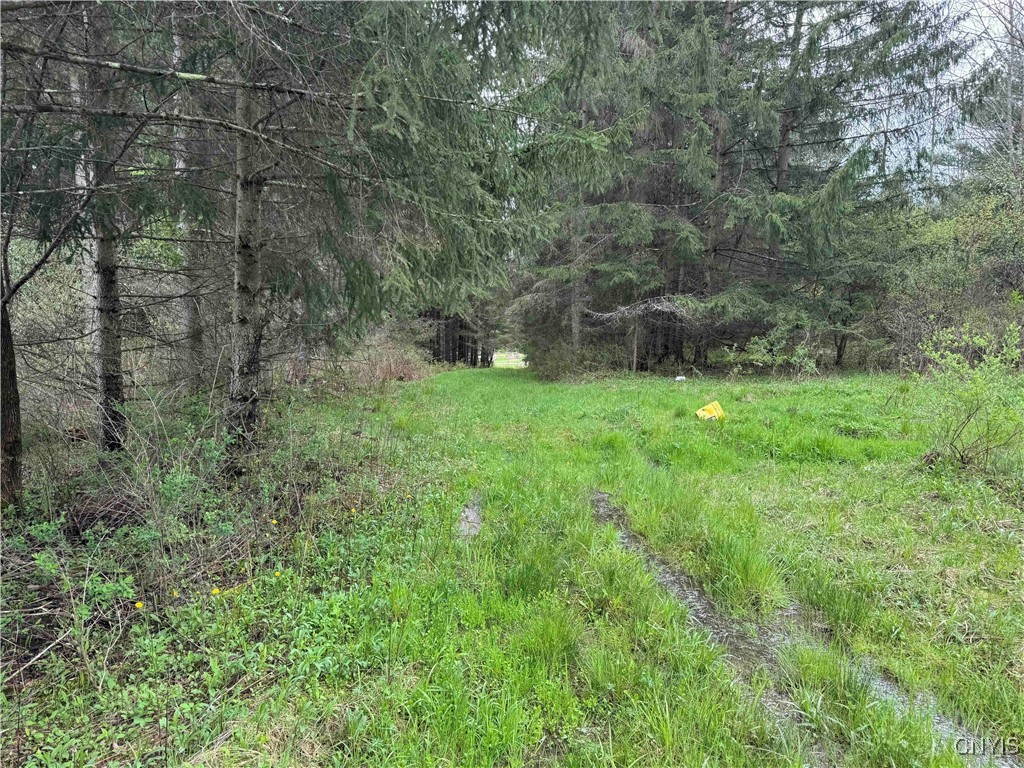 5024 Sleepy Hollow Road, Friendship, New York image 35
