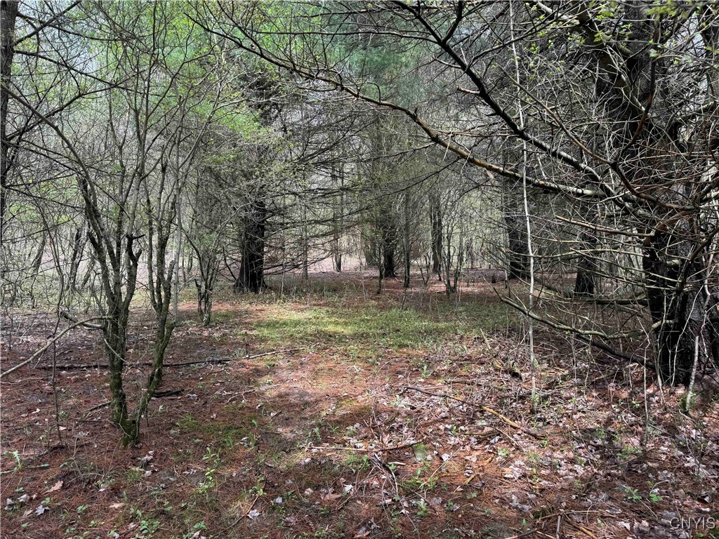 5024 Sleepy Hollow Road, Friendship, New York image 14