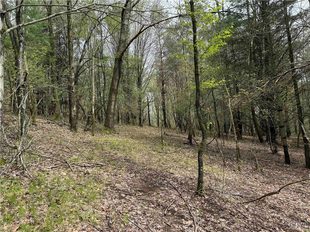 5024 Sleepy Hollow Road, Friendship, New York image 16