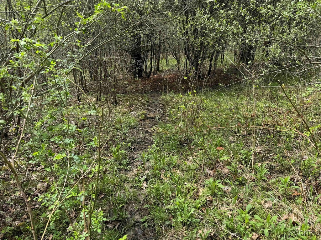 5024 Sleepy Hollow Road, Friendship, New York image 12