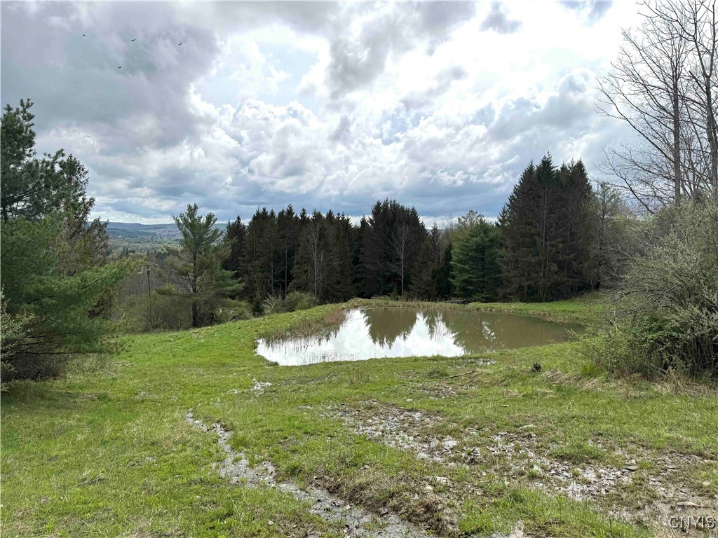5024 Sleepy Hollow Road, Friendship, New York image 1