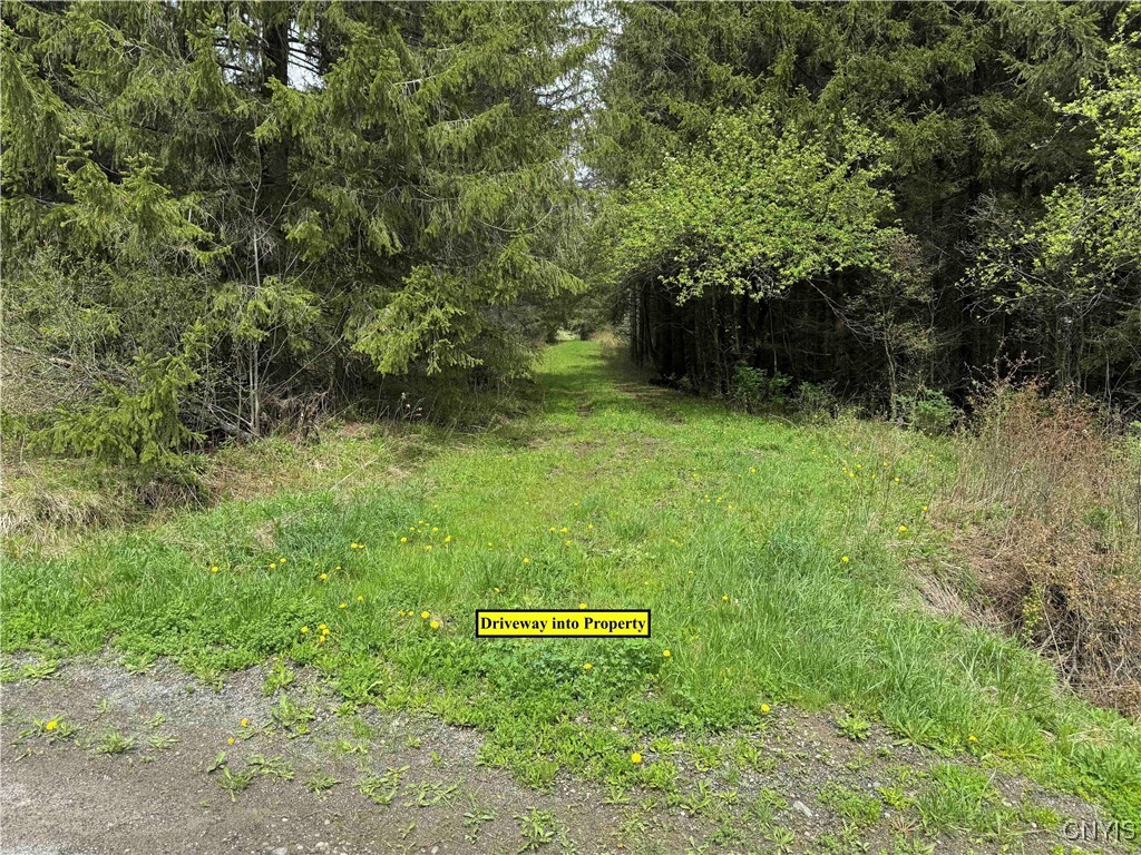5024 Sleepy Hollow Road, Friendship, New York image 4