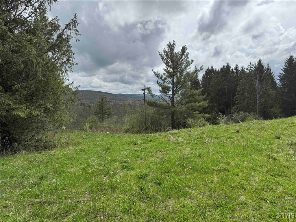 5024 Sleepy Hollow Road, Friendship, New York image 9