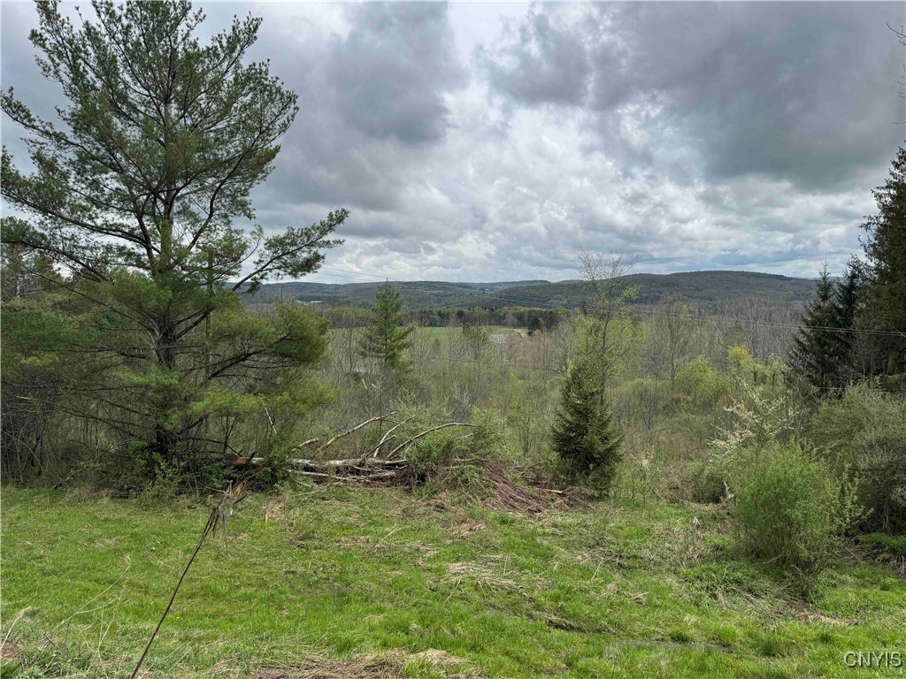 5024 Sleepy Hollow Road, Friendship, New York image 31