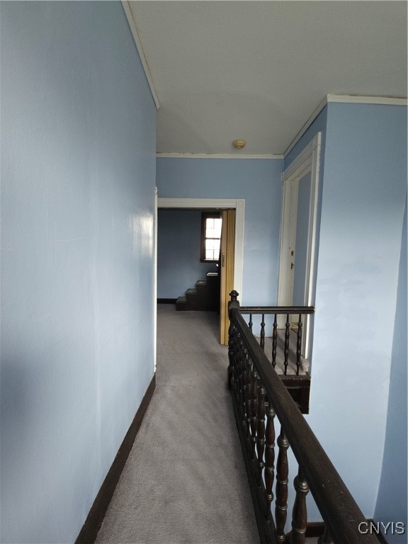 321 Rutger Street, Utica, New York image 34