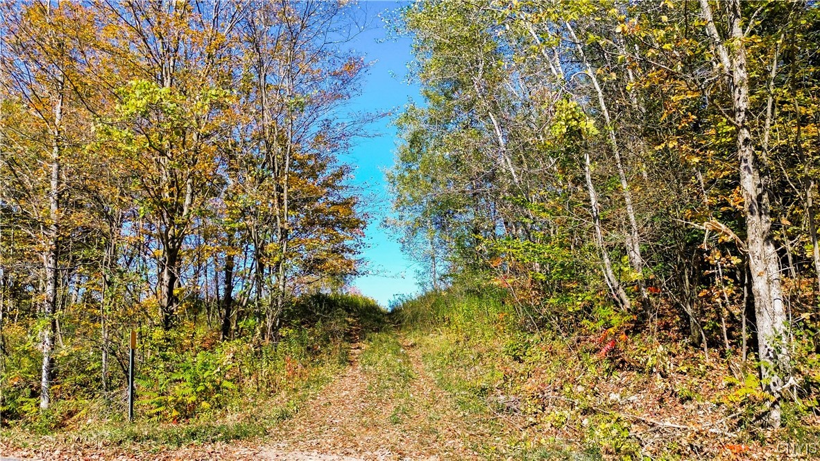 672 Fishing Rock Road